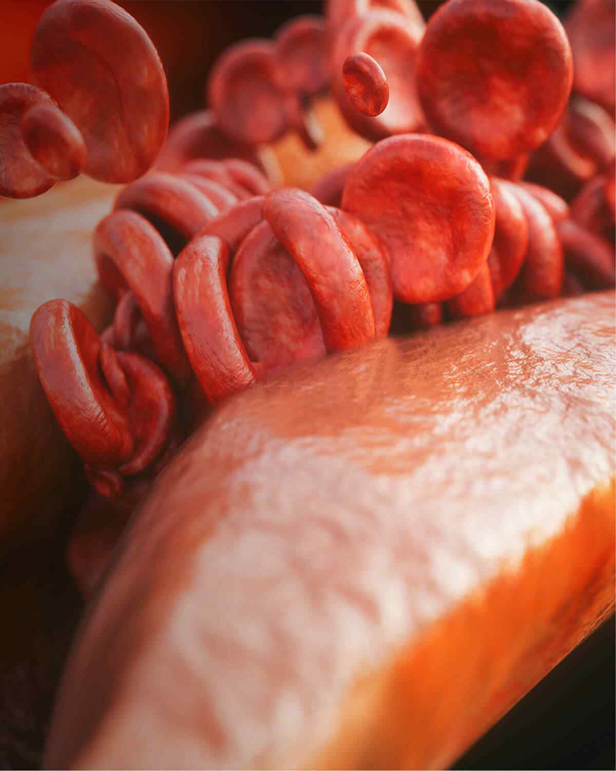 https://gastrosurgeondubai.com/wp-content/uploads/2021/08/interactive_image_right.jpg