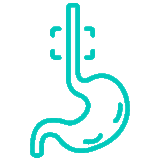 1-esophagus https://gastrosurgeondubai.com/wp-content/uploads/2026/01/1-esophagus-160x160.gif