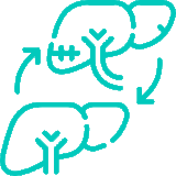 https://gastrosurgeondubai.com/wp-content/uploads/2026/01/11-Liver-Transplant-160x160.gif