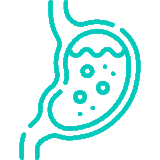 3-Gastric-&-Reflux https://gastrosurgeondubai.com/wp-content/uploads/2026/01/3-Gastric-Reflux-160x160.gif