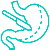 5-bariatric https://gastrosurgeondubai.com/wp-content/uploads/2026/01/5-bariatric-160x160.gif
