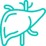 https://gastrosurgeondubai.com/wp-content/uploads/2026/01/6-Hepatobiliary-160x160.gif