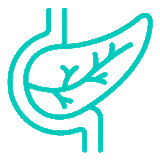 7-pancreas https://gastrosurgeondubai.com/wp-content/uploads/2026/01/7-pancreas-160x160.gif