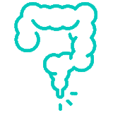 9-Fissure-&-Hemorrhoids https://gastrosurgeondubai.com/wp-content/uploads/2026/01/9-Fissure-Hemorrhoids-160x160.gif