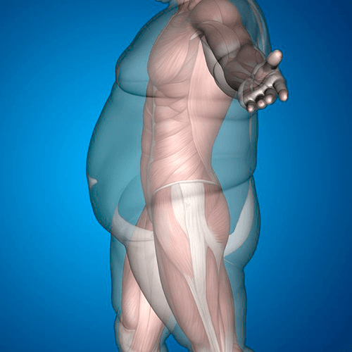 Surgeon and patient reviewing a weight loss treatment plan during a bariatric consultation in Dubai