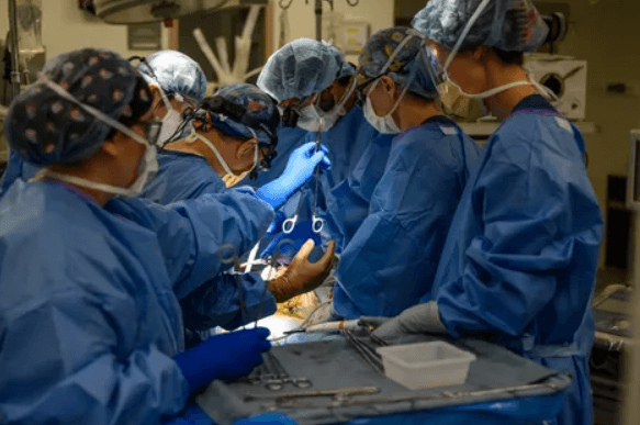 Surgical team performing a minimally invasive operation in a modern operating theatre