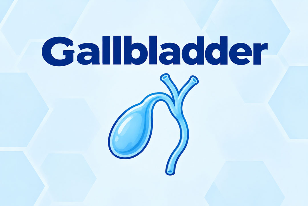 gallbladder-image https://gastrosurgeondubai.com/wp-content/uploads/2026/10/gallbladder-image.jpg