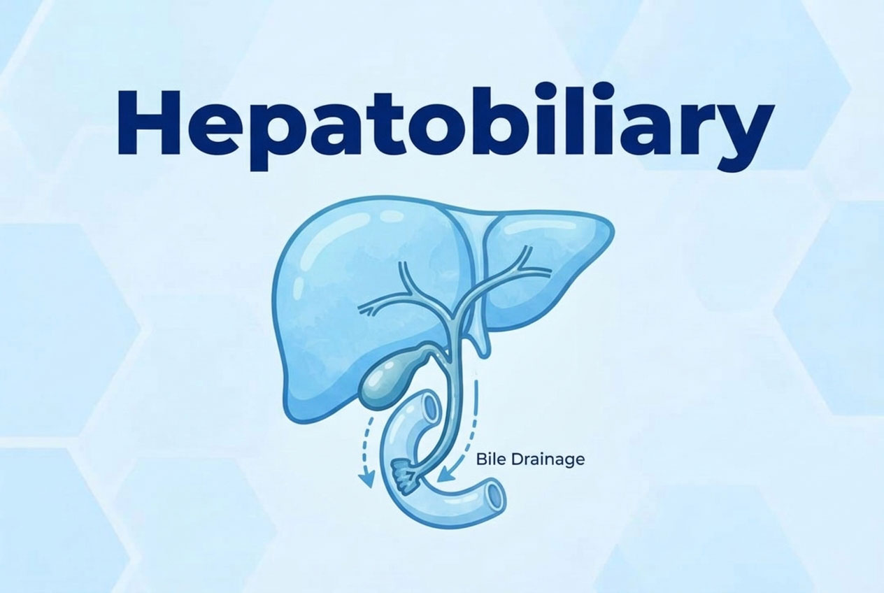 hepatobiliary-image https://gastrosurgeondubai.com/wp-content/uploads/2026/10/hepatobiliary-image.jpg